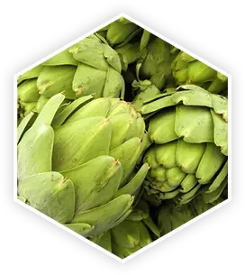 Artichoke Extract in ProstaVive for antioxidant prostate support
